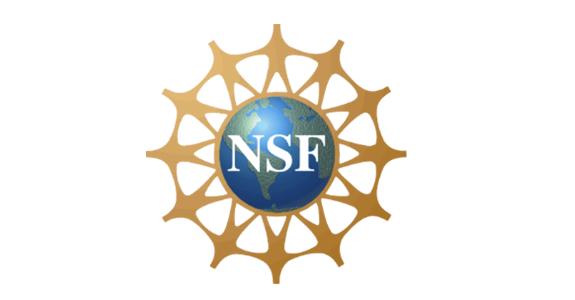 logo-nsf-min
